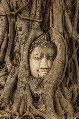 Old Buddha head ancient