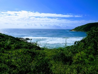 Obraz premium Beach, rocks, crystal clear water, trails, natural water pools, green plants and sun.