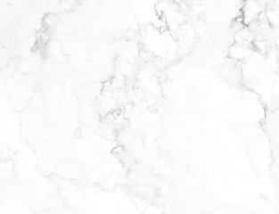 Abstract white marble background with natural motifs.