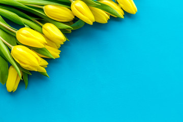 Spring flowers. Yellow tulips on blue background top view space for text border