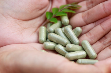 Hand holding herbal supplement for eat in healthy food 