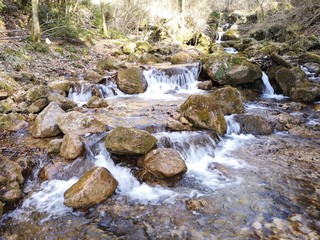 eiskalter Wildbach - Trinkwasser
