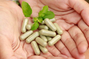 herbal medicine with herb for healthy lifestyle 