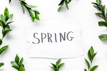 Spring concept. Hand lettering text spring near green branches and leaves on white background top view