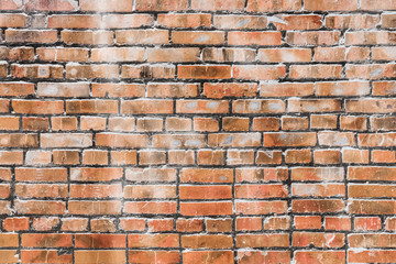 Fototapeta premium brick wall
