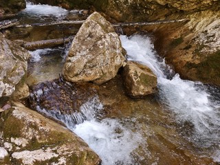 eiskalter Wildbach - Trinkwasser