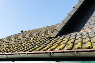 Dachsanierung Moos auf Dachziegeln