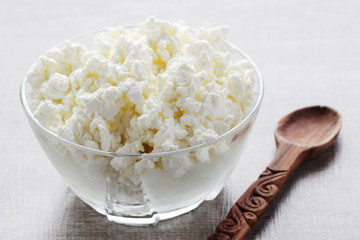 A bowl with plain Russian cottage cheese called tvorog