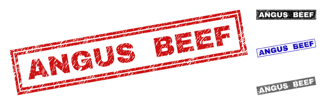 Grunge ANGUS BEEF rectangle stamp seals isolated on a white background. Rectangular seals with distress texture in red, blue, black and gray colors.