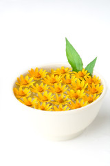 Yellow flowers in a white bowl