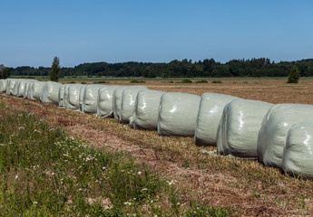 Haystacks in film packaging.