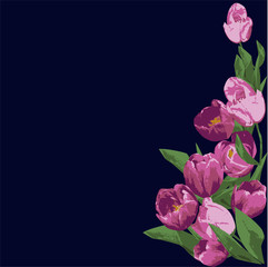 abstract flowers tulips blue and pink on a dark background