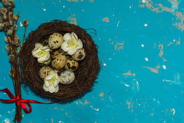 Obraz na płótnie Canvas quail eggs in nest with willow twigs on blue background