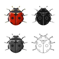Vector illustration of insect and fly logo. Set of insect and element stock vector illustration.
