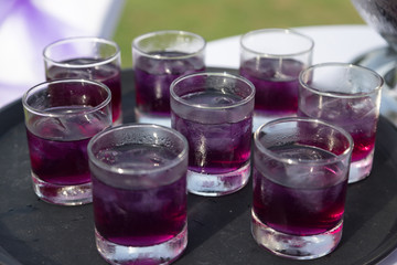 pea flower water in cups for serve to guest on black tray