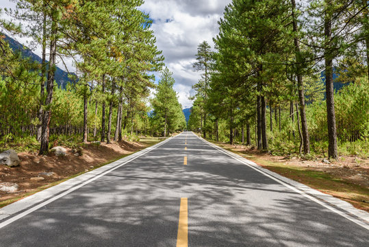 Straight road view among the pine tree woods in Bome(Bomi) County, Nyingchi(Linzhi) City, Tibet, China.