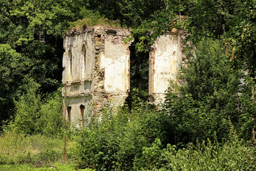 Fototapeta na wymiar Ruins and walls of broken castle in bushes