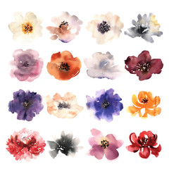 Watercolor flowers hand drawn colorful beautiful floral set with blossom plant for cards prints and invitation. 