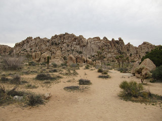 Rock formations of Joshua Tree National Park - California