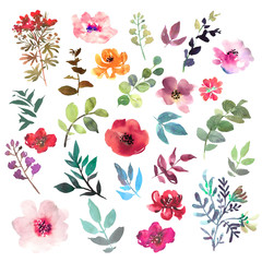 Watercolor flowers hand drawn colorful beautiful floral set with yellow pink red blue blossom plant