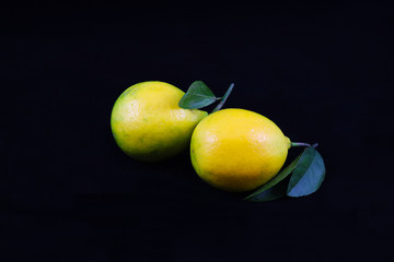 Lemons on black background. Close-up