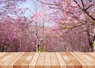 Naklejka na ściany i meble Empty brown wood table for display product and beautiful pink sakura flower nature background.