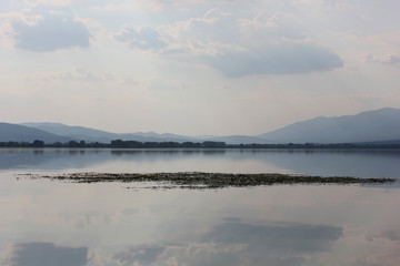 Obraz premium Lake of Kerkini Serres Greece Europe