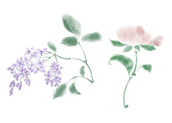 Digital illustration of flowers, isolated.