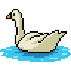 vector pixel art duck swim