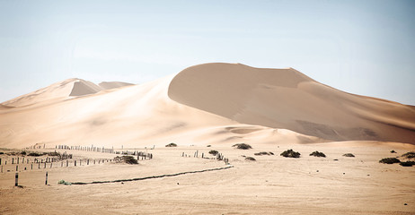Dunes in the Namib Desert