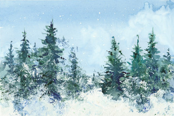  watercolor spruce forest