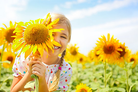 Child playing in sunflower field on sunny summer day