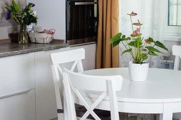 White round dinner table with chairs in the kitchen. White Scandinavian interior. Flower plant on the dining table