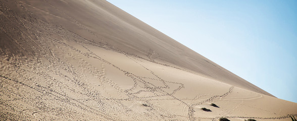 Dunes, Namibia Africa
