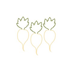 Color Sugar beet icon 