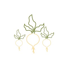 Color Sugar beet icon 