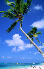 strände in der dominikanische republik