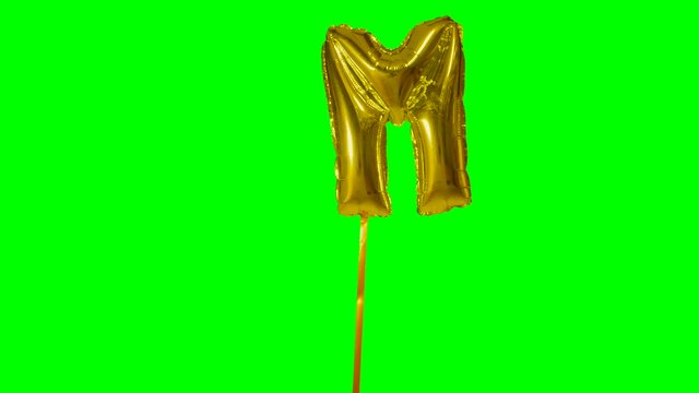 Letter M from alphabet helium gold balloon floating on green screen