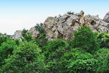 Low Angle View of Mountain and Trees Against Clear Sky
