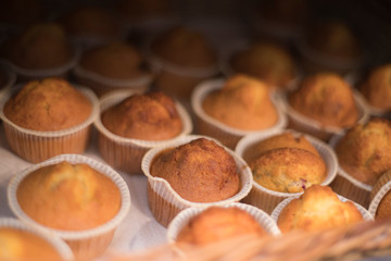 muffins in the store