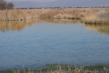 Las Tablas de Daimiel, Ciudad Real, España