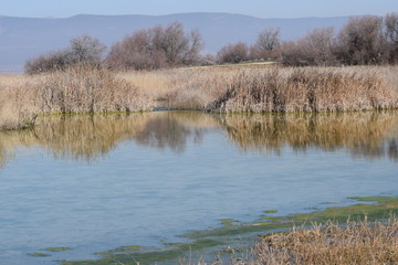 Las Tablas de Daimiel, Ciudad Real, España