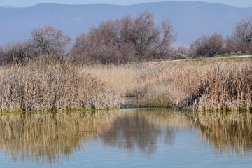 Las Tablas de Daimiel, Ciudad Real, España