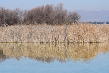 Las Tablas de Daimiel, Ciudad Real, España