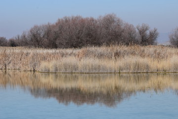 Las Tablas de Daimiel, Ciudad Real, España