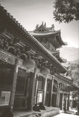 Shaolin is a Buddhist monastery