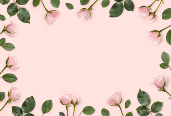 Frame of pink roses and castings on a pastel pink background. Beautiful gentle background. Flat lay.  Floral background.Top view. Copy space. Mock-up