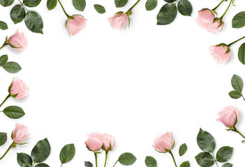 Frame made of pink roses and castings on a white background. Beautiful gentle background. Flat lay.  Floral background.Top view. Copy space. Mock-up