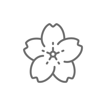 recommend clip art: Sakura flower line icon.