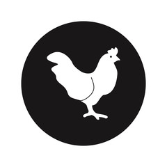 Chicken vector icon